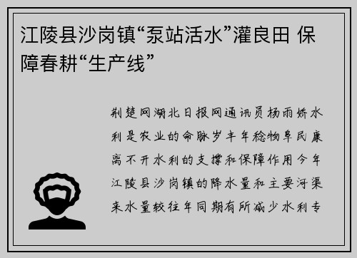 江陵县沙岗镇“泵站活水”灌良田 保障春耕“生产线”