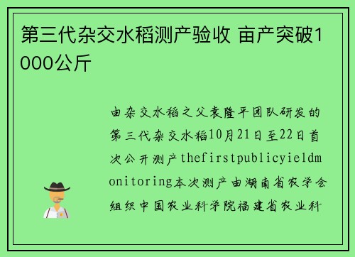 第三代杂交水稻测产验收 亩产突破1000公斤